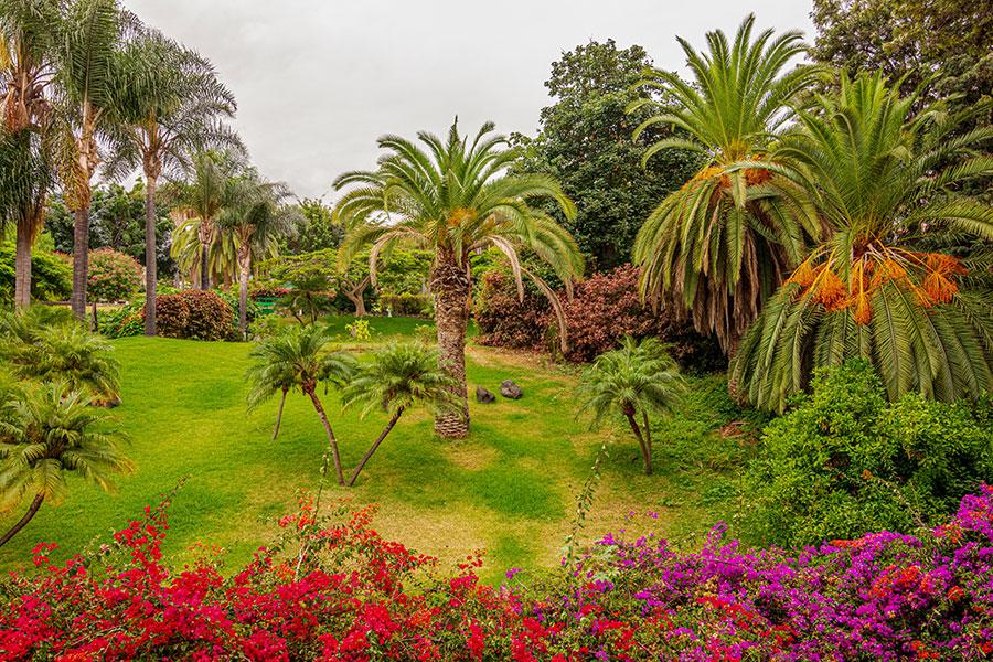 Gartenbau Mallorca