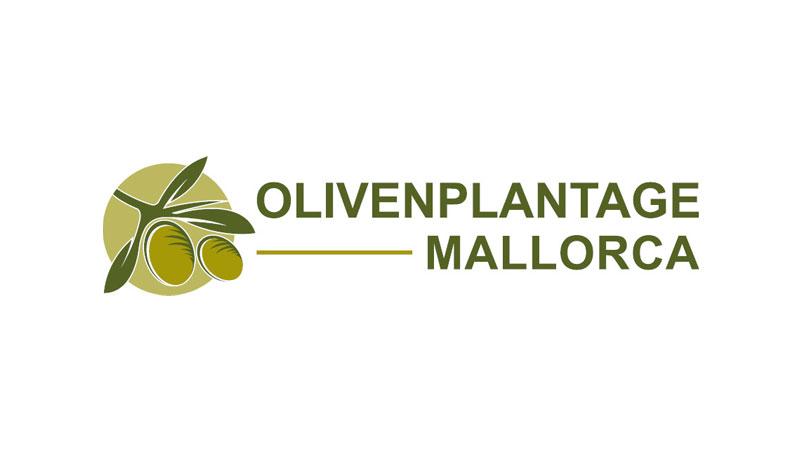 Olivenplantage Mallorca